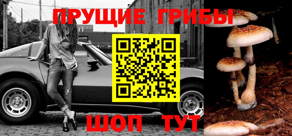 Галлюциногенные грибы Magic Shrooms  Псилоцибиновые грибы мухоморы  Вход с VPN  Нововоронеж 